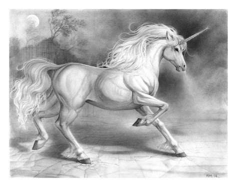 Unicorn - Unicorns Fan Art (5943151) - Fanpop