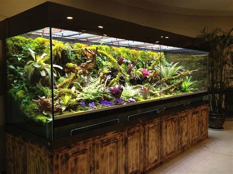 Pin by Animal Wonders on Vivarium, Aquarium, & Terrariums | Frog ...