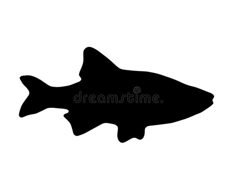 Black Silhouette of Fish on White Stock Illustration - Illustration of fishing, design: 219164922