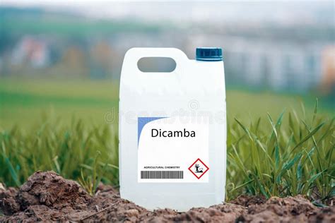 Dicamba Selective Herbicide Used on Broadleaf Weeds and Invasive Plants Stock Photo - Image of ...