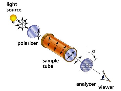 20.3 Stereoisomerism – IB Alchemy