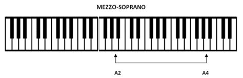 Classification and vocal range - Do the test | Simplifying Theory