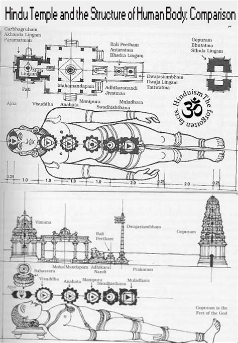 Hindu Temple and Human body | KANNADIGA WORLD | Temple, Hindu temple, Temple architecture