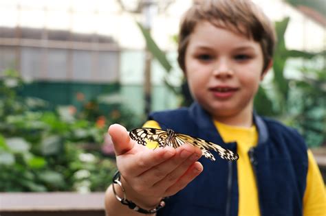 Learning with zoos and wildlife parks - SchoolNews - New Zealand