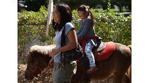 Land Park Pony Rides closing as expenses rise, ponies get older | abc10.com