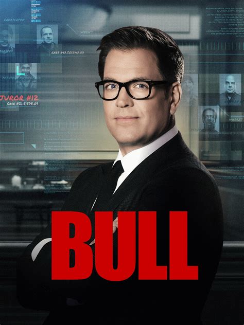 Bull | TVmaze