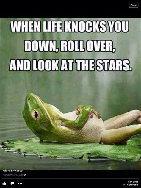 Funny Frog Quotes - ShortQuotes.cc