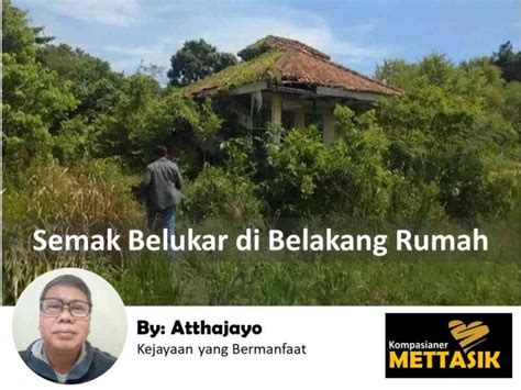 Semak Belukar di Belakang Rumah Halaman 1 - Kompasiana.com