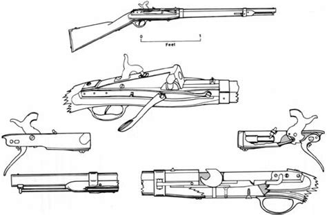 Flintlock Diagram - Wiring Diagram Pictures