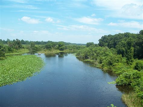 Ocklawaha River | Natural Atlas