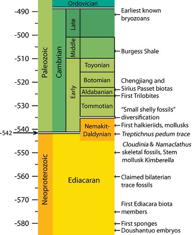 Does the Cambrian Explosion Pose a Challenge to Evolution? - BioLogos