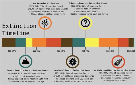 Infographic : Timeline of All Five Major Extinctions - Infographic.tv - Number one infographics ...