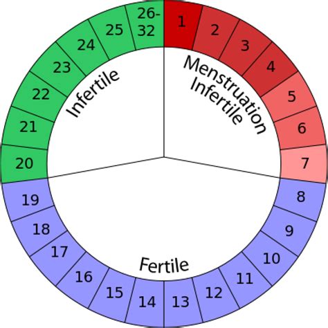 Fertility-calendar | Bulk Bill IVF.com.au