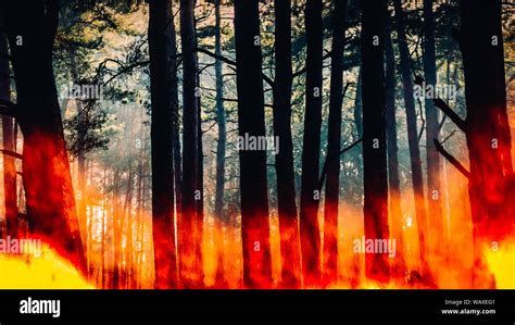 Raging pinewood forest fire - digital composite Stock Photo - Alamy