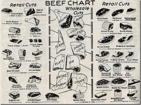 Veal Cuts Chart Meat