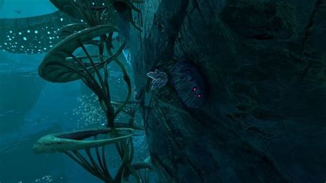 Where to find Table Coral in Subnautica: Below Zero