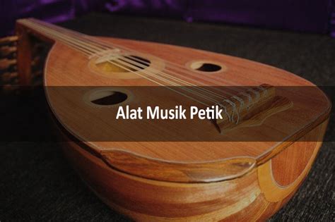 7+ Contoh Alat Musik Petik dan Nama, Gambar, Penjelasan