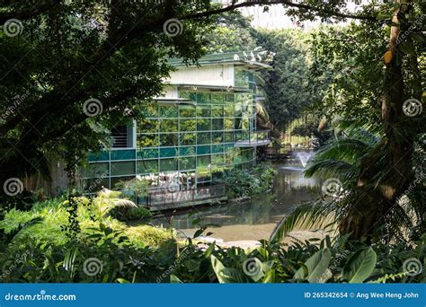 Jurong Bird Park Singapore editorial stock image. Image of singapore ...