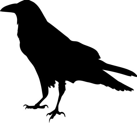 Raven Silhouette Vector Art image - Free stock photo - Public Domain photo - CC0 Images