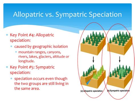 Small Things Considered: Of Terms in Biology: Sympatry and Allopatry