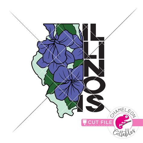 Illinois state flower violet svg png dxf eps jpeg Chameleon Cuttables ...