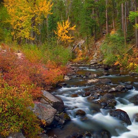 Where to Go for Fall Colors in Montana | Recommended By Montanans