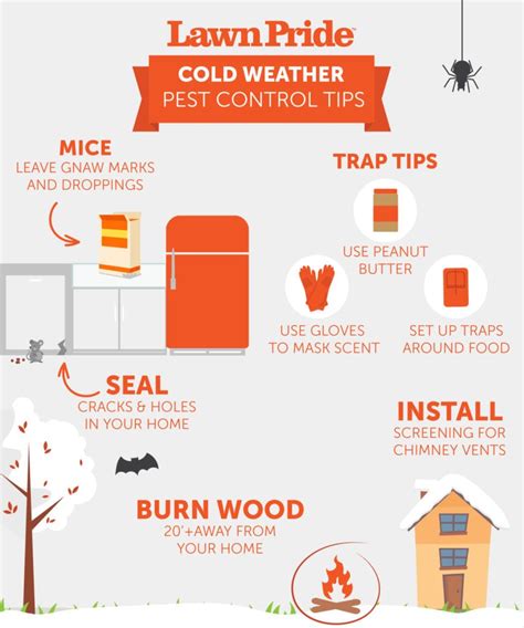 Cold Weather Pest Control Tips | Lawn Pride