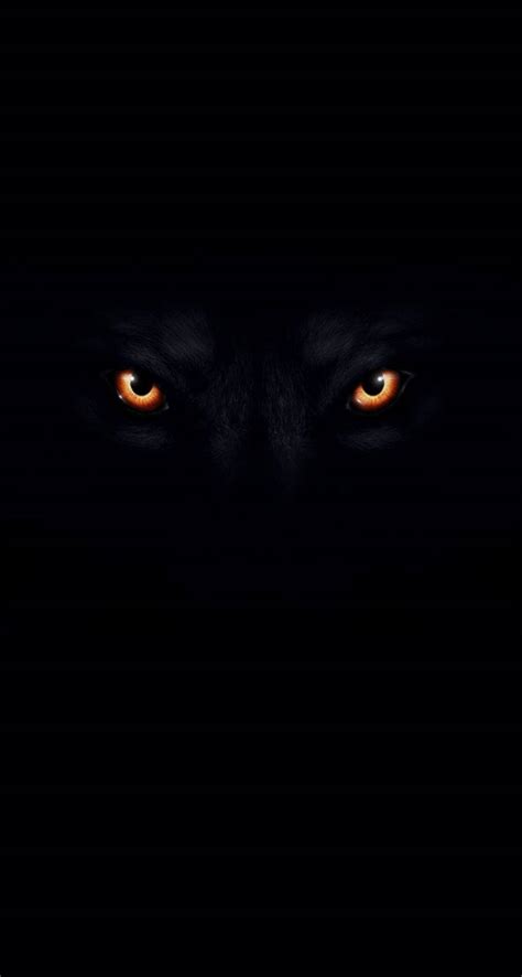 Download Wolf Eyes In Color Black Background Wallpaper | Wallpapers.com