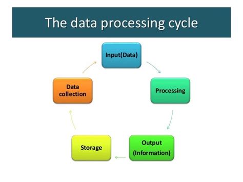 Information Processing Cycle Meaning Steps And Examples