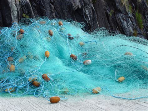 Fishing net - Wikipedia