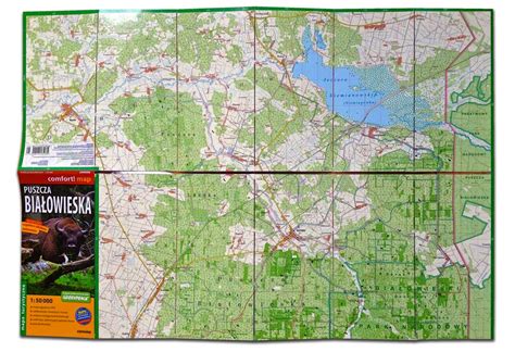 Białowieża Forest Laminated Map – Wild Poland