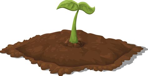 Sprouting Potato Original Cartoon Bud Seedling Vegeta - vrogue.co