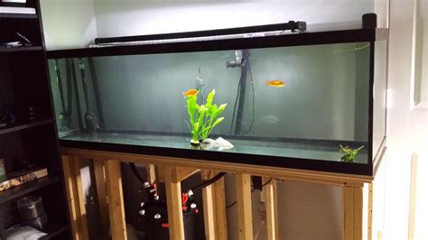 125 Gallon ideas? : Aquariums