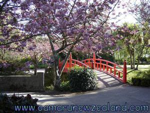 Oamaru gardens