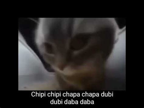 Chipi chipi chapa chapa dubi dubi daba daba - YouTube