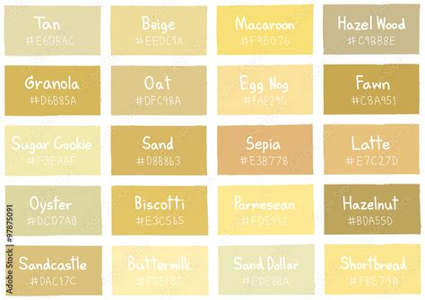 Tan Tone Color Shade Background with Code and Name Illustration Stock ...