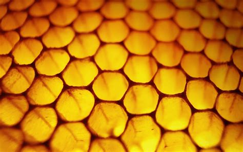 Wallpaper : sunlight, nature, yellow, pattern, honey, circle, pollen, honeycombs, design ...