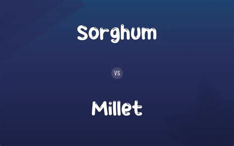 Sorghum vs. Millet: Difference and Comparison