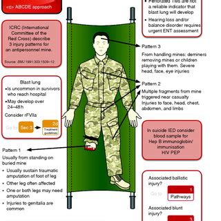 Ballistic trauma pathway: Roles 2 and 3. | Download Scientific Diagram