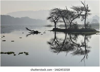 16 Pashan Lake Stock Photos, Images & Photography | Shutterstock