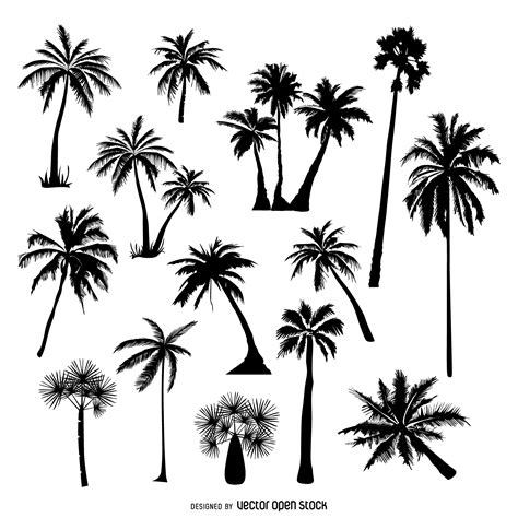 Line Drawing Of A Palm Tree at GetDrawings | Free download