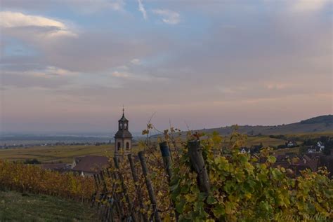 Wine, Castles, and Culture Top Reasons To Visit Riquewihr, Alsace