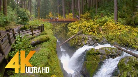 Sol Duc Falls Nature Trail - 4K Virtual Hike | ProArtInc