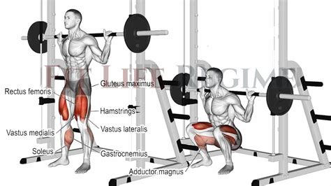 Smith Machine Workout Guide