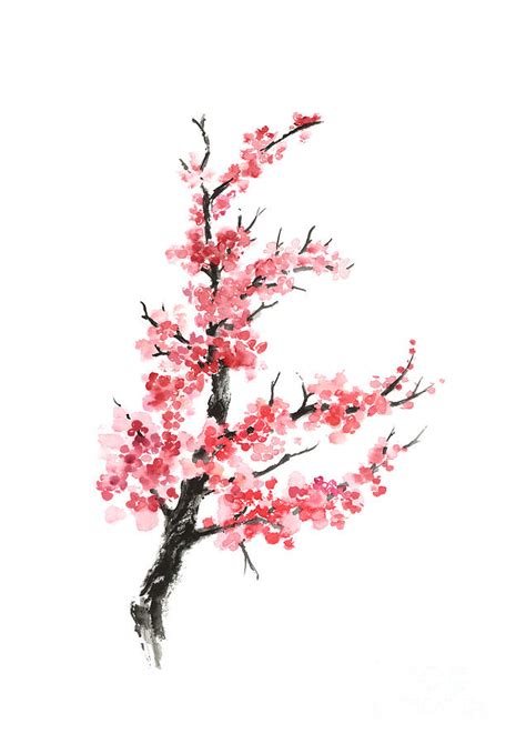 Cherry Blossom Branch Watercolor Poster Painting by Joanna Szmerdt