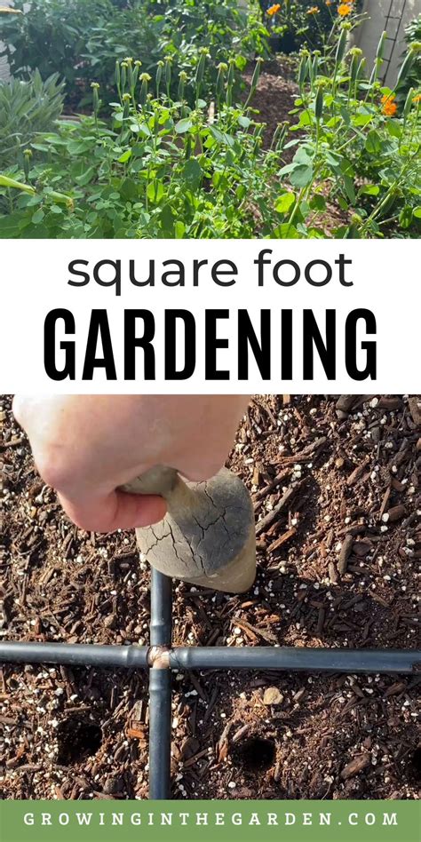 5 tips for a successful square foot garden – Artofit