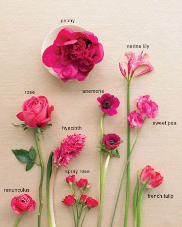 pink flowers and how to identify them Weddings By Color, Wedding Colors, Wedding Decor, Taupe ...