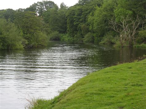 Jim & Gill's Walks: Roecliffe and the River Ure