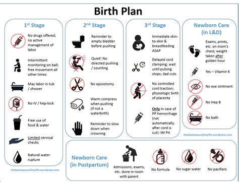 A Downloadable Visual Birth Plan | Birth plan template, Birth plan ...