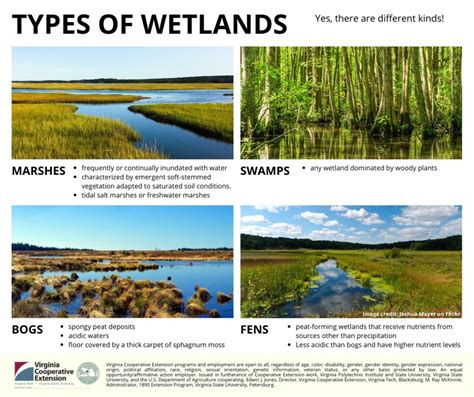 File:Types of wetlands.jpg - Minnesota Stormwater Manual